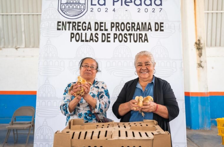 aves de traspatio la piedad