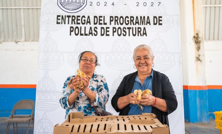 aves de traspatio la piedad