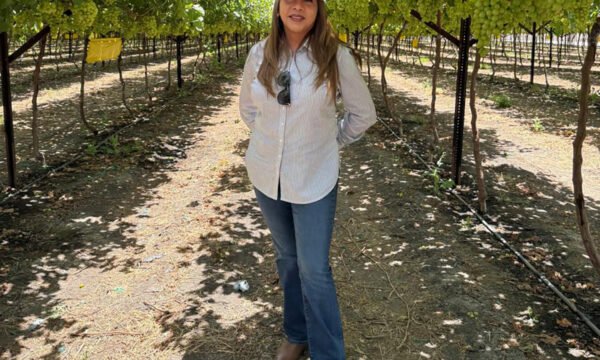 FIRA Jalisco créditos