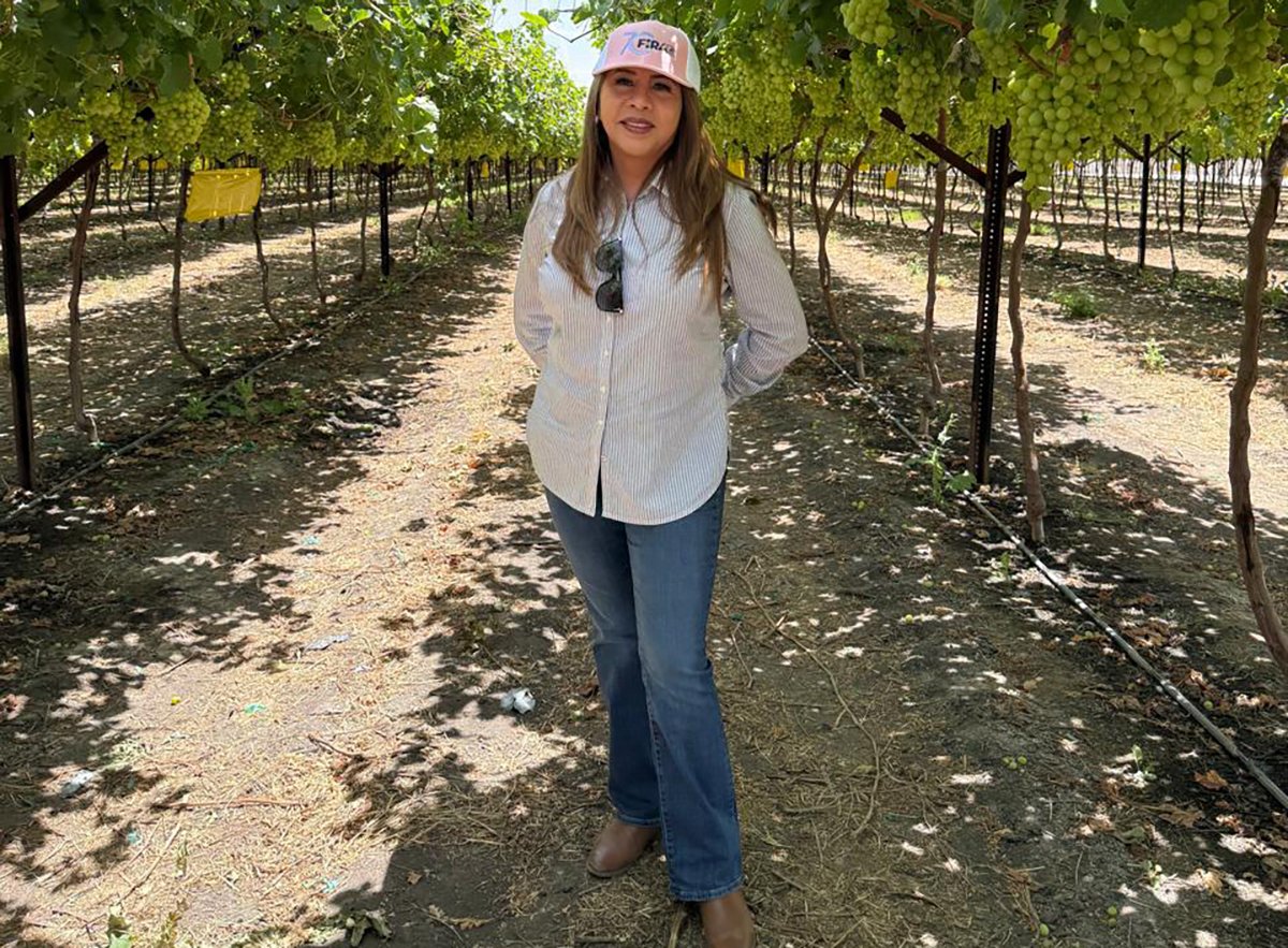 FIRA Jalisco créditos