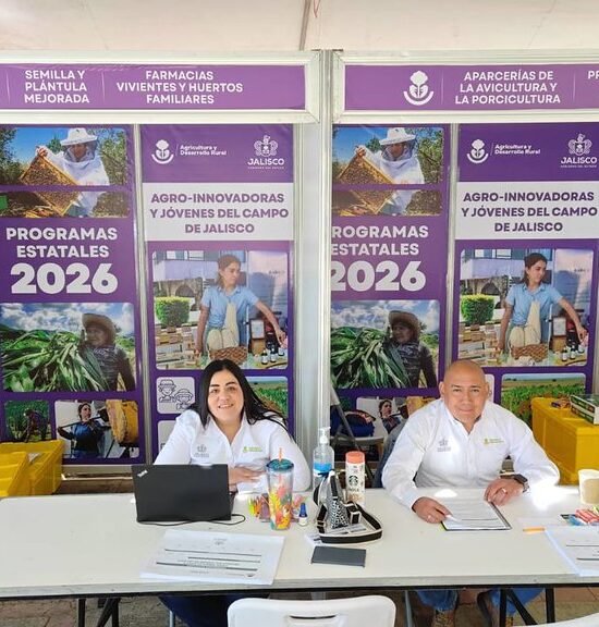 apoyos ventanilla Jalisco 2026