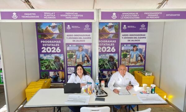 apoyos ventanilla Jalisco 2026