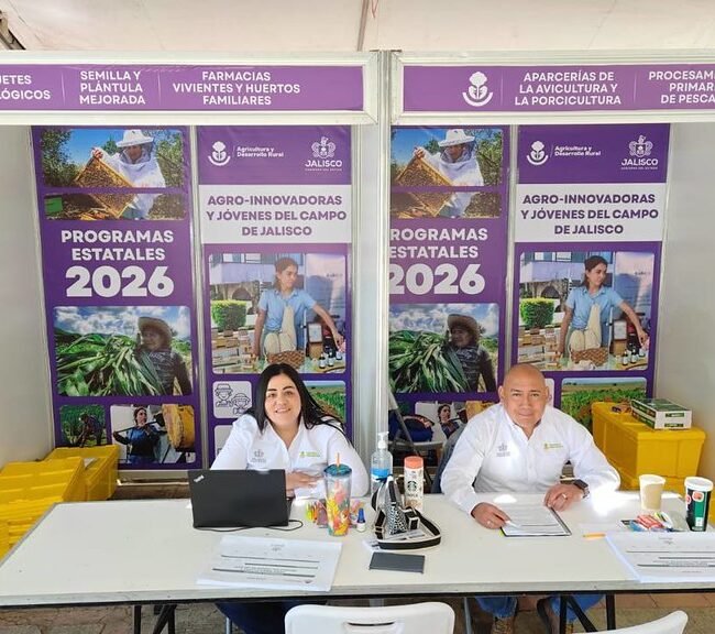 apoyos ventanilla Jalisco 2026