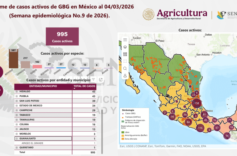 Guanajuato Gusano Barrenador 1er caso