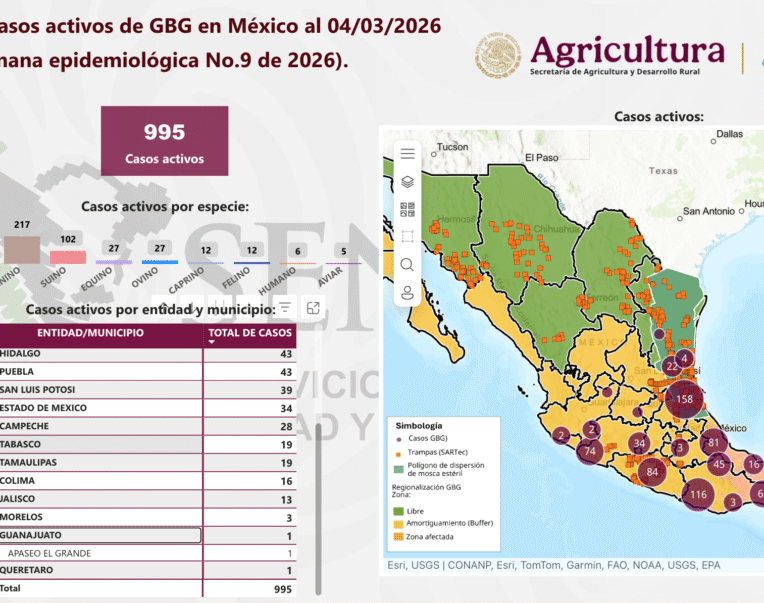Guanajuato Gusano Barrenador 1er caso