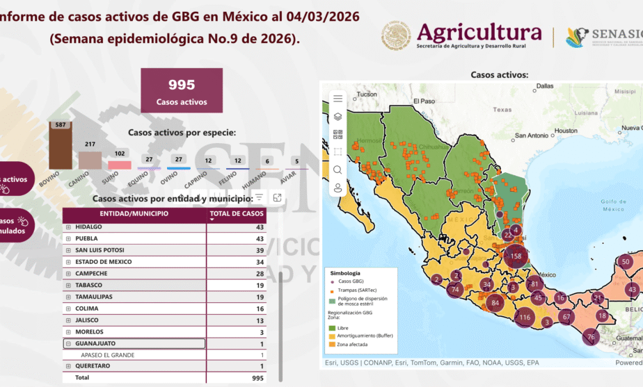 Guanajuato Gusano Barrenador 1er caso