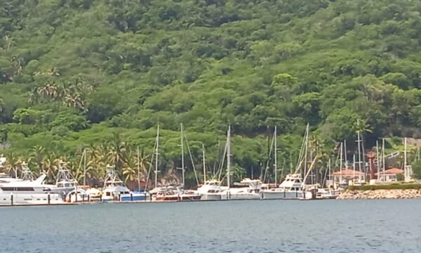 pesca y cambio climático