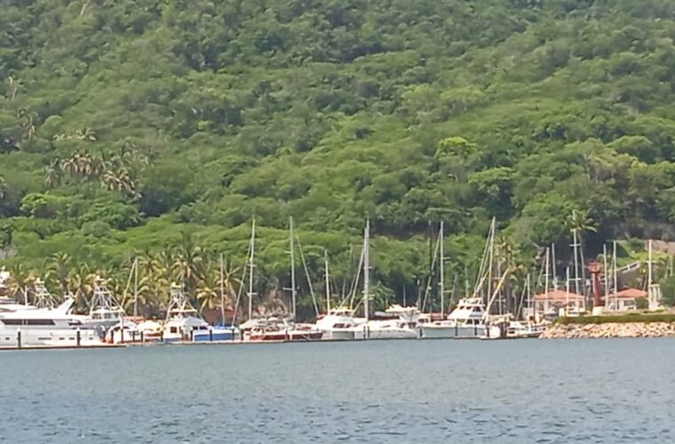 pesca y cambio climático