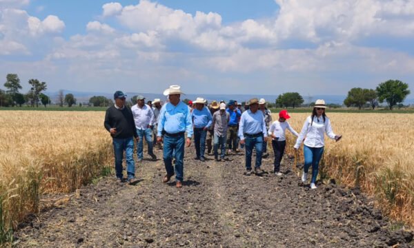 Agricultura regenerativa