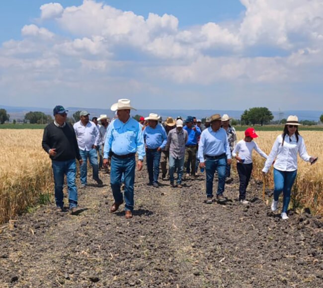 Agricultura regenerativa