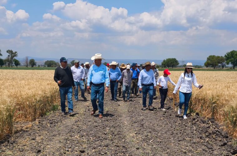Agricultura regenerativa