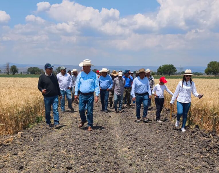 Agricultura regenerativa