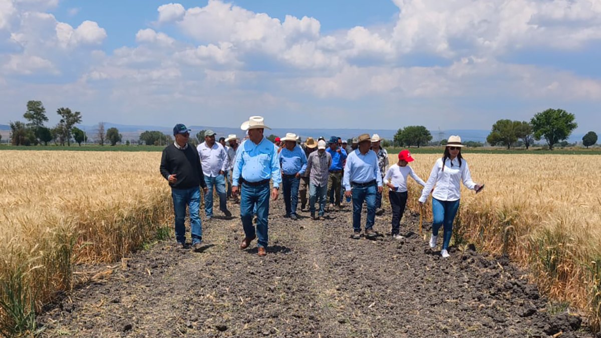 Agricultura regenerativa