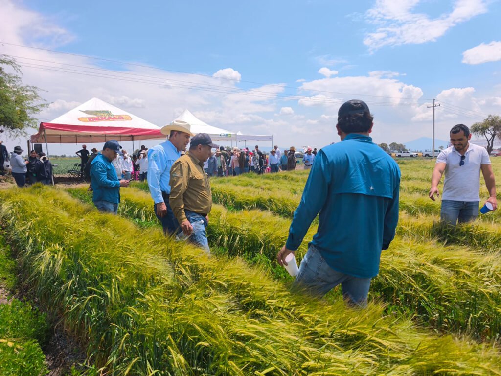 Agricultura regenerativa