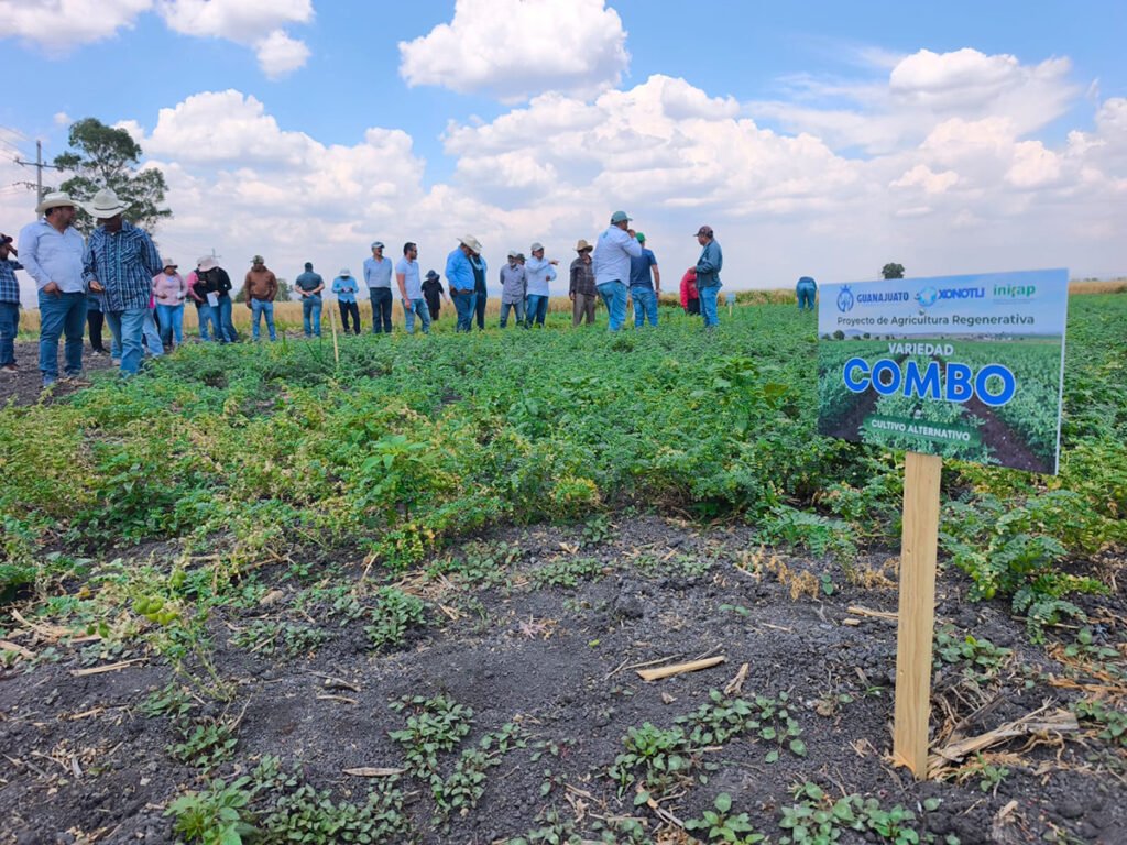 Agricultura regenerativa