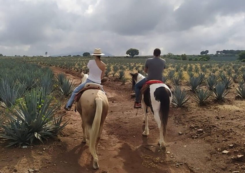 ruta del tequila