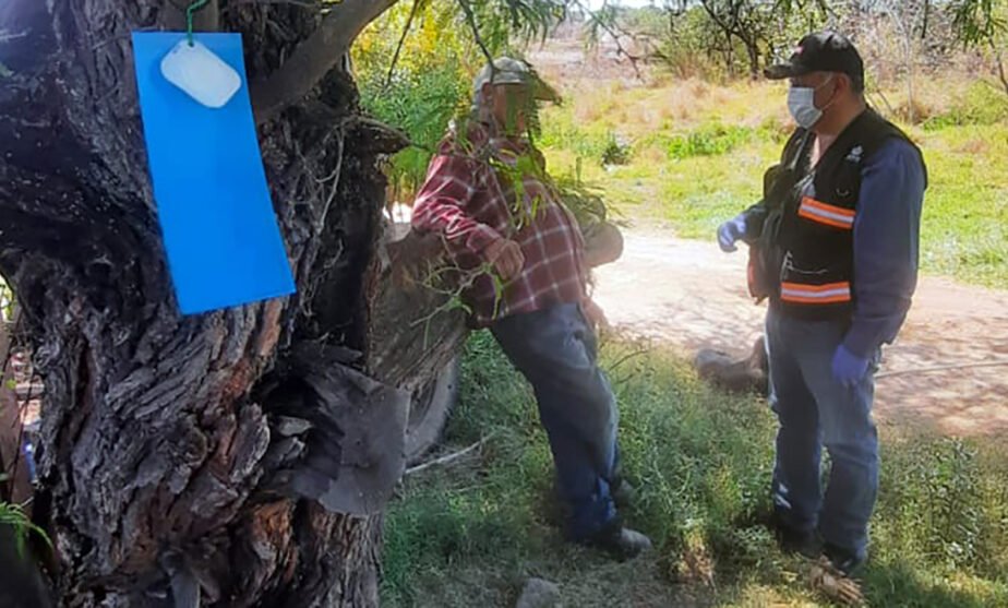 trampas gusano barrenador del ganado Jalisco