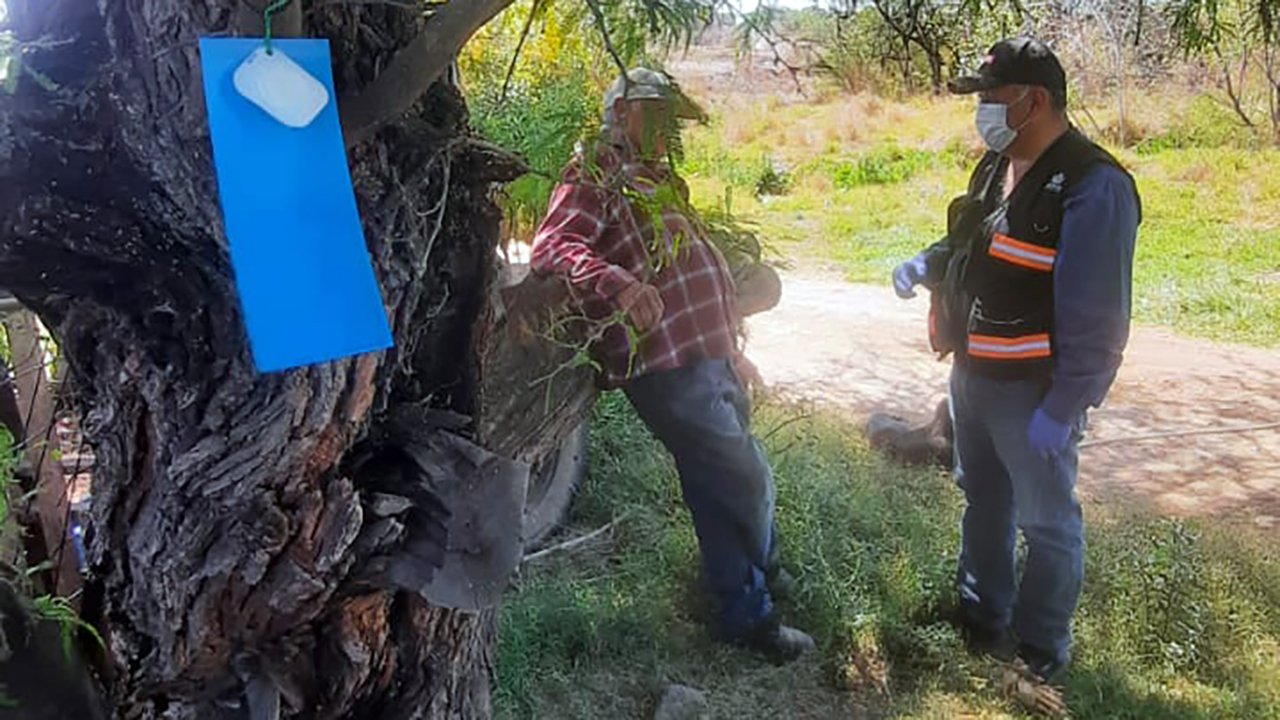 trampas gusano barrenador del ganado Jalisco