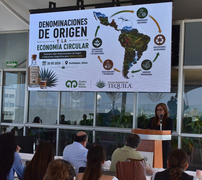 denominación indicacion geografica