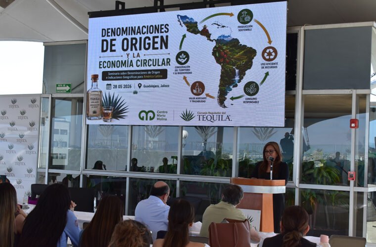 denominación indicacion geografica