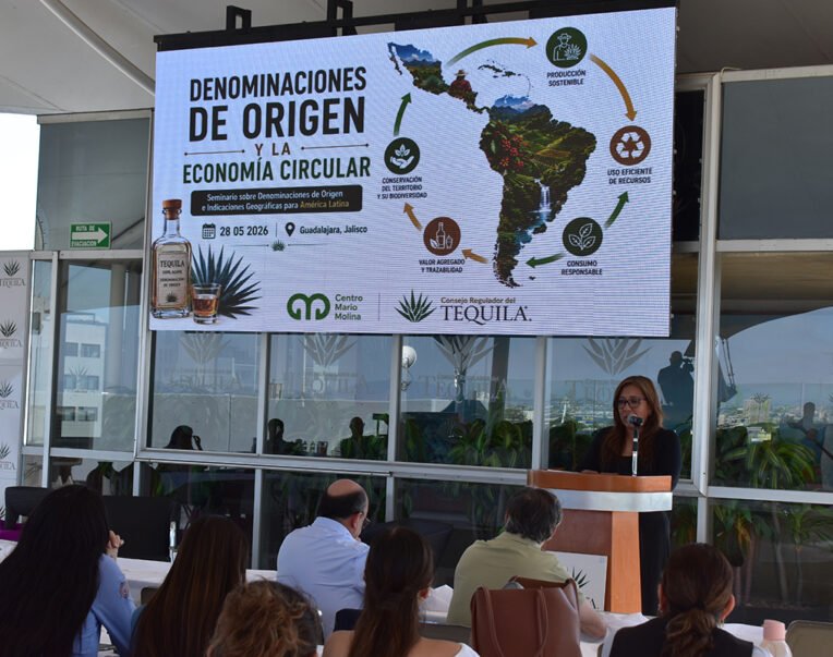 denominación indicacion geografica