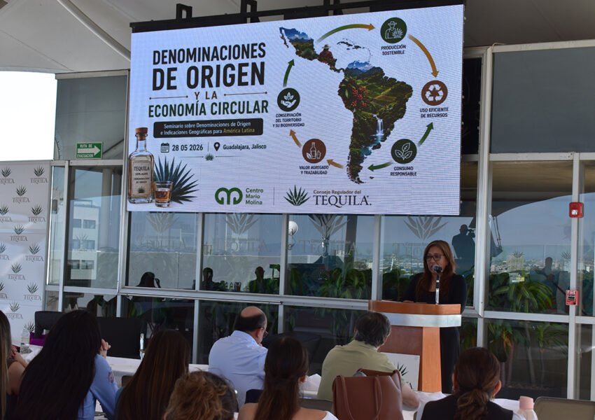 denominación indicacion geografica