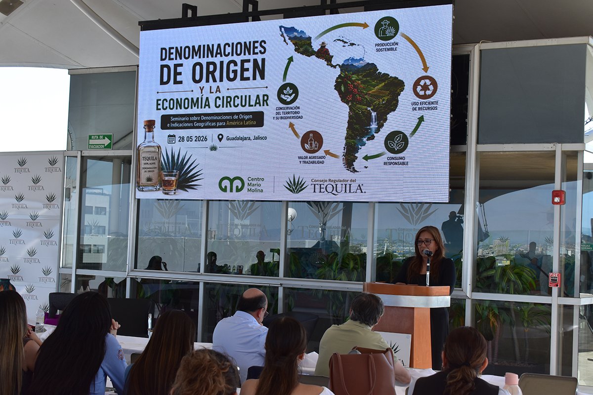 denominación indicacion geografica