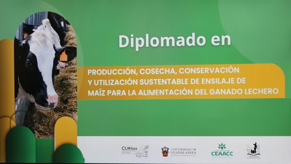ensilaje lecheros udeg