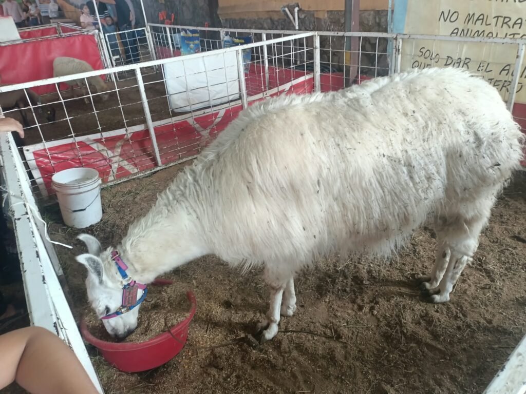 Granjita Ganadera niños y animales